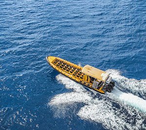 Sunset snorkeling tour in Maui with Maui Dive Shop