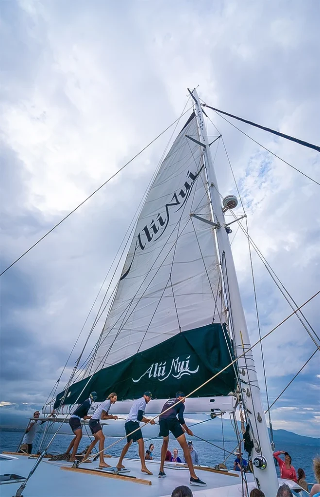 aliinui gallery image 05 6476268686125