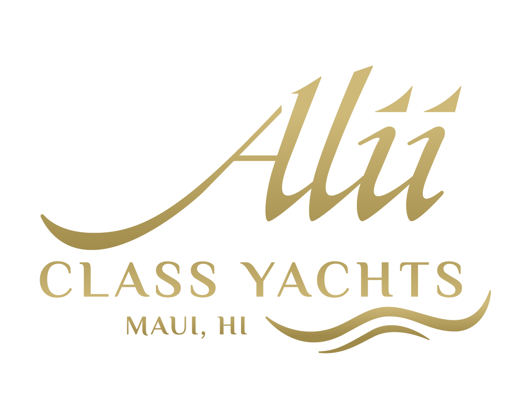 ANSCH ClassYachts Logo Gold