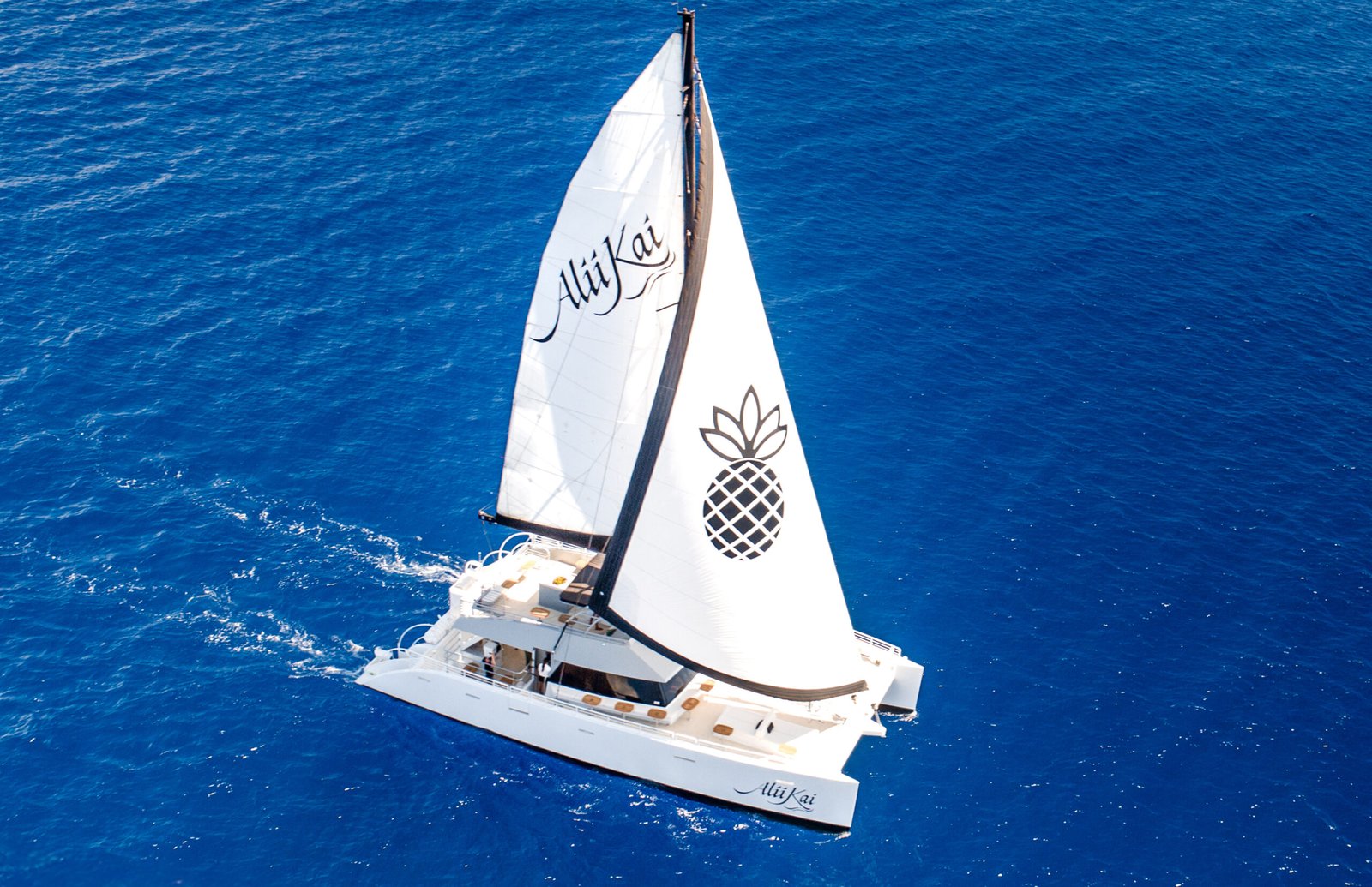 Luxury Catamaran Charters