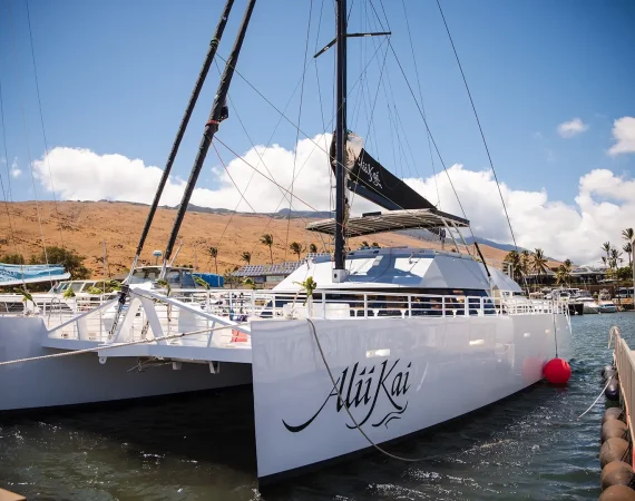 A sleek catamaran named "Alu Kai" docked in a harbor with mountains in the background under a blue sky and fluffy clouds.