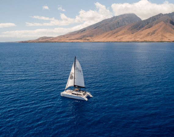 a view of a sailing catamaran gliding over vibrant blue ocean waters.