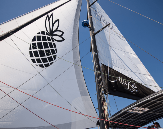 A close-up of a sail featuring a black pineapple logo and the name "Uli Kai" against a clear blue sky. Bright colors and dynamic lines.