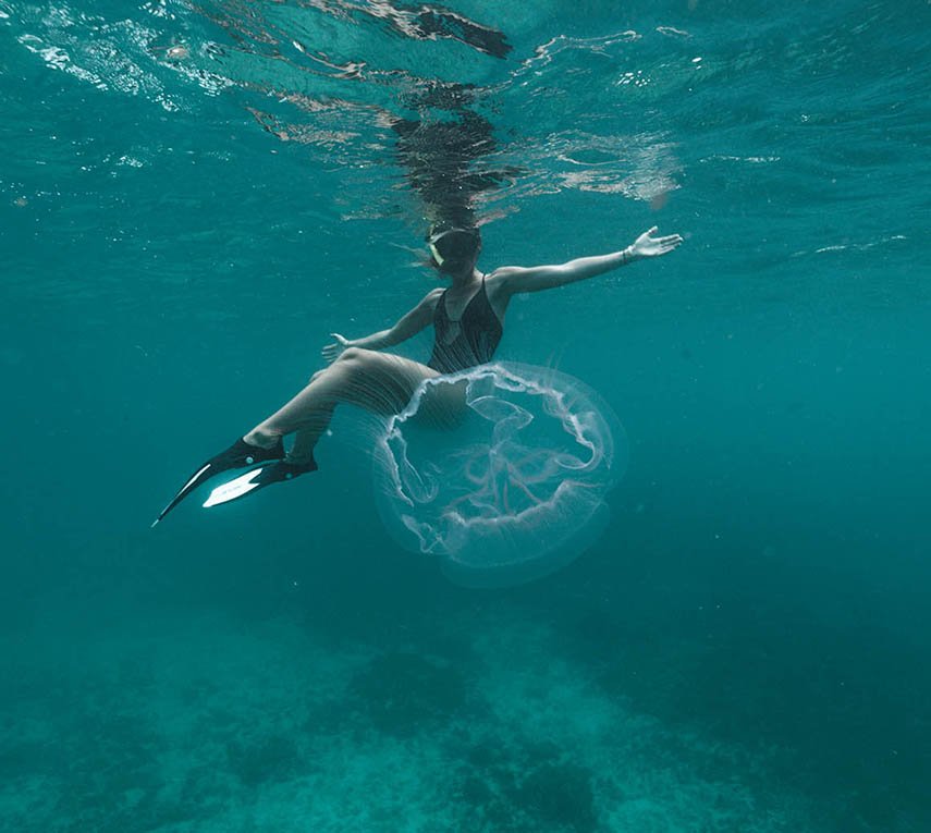 Snorkeler swimming alongside a large moon jellyfish in clear turquoise waters near Cruz Bay