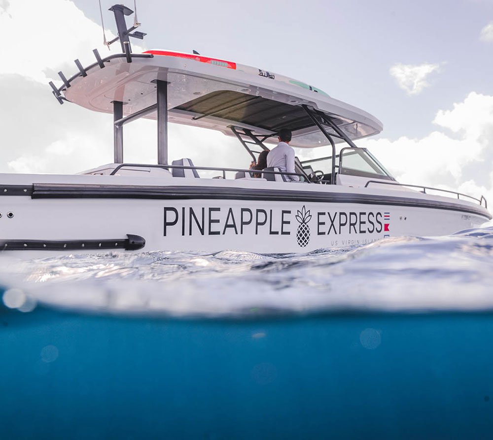 Pineapple Express speedboat with T-top canopy and captain, shown in split underwater against sky.