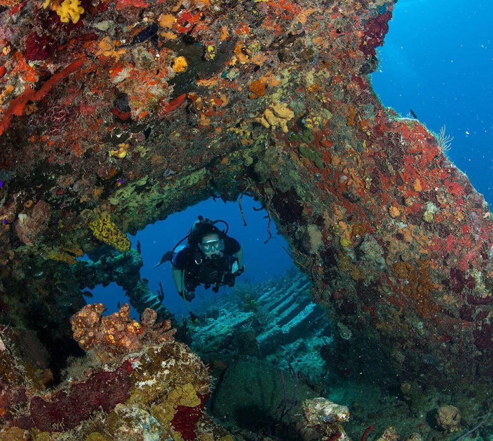 Scuba diver exploring a colorful coral-encrusted underwater cave in the ocean.