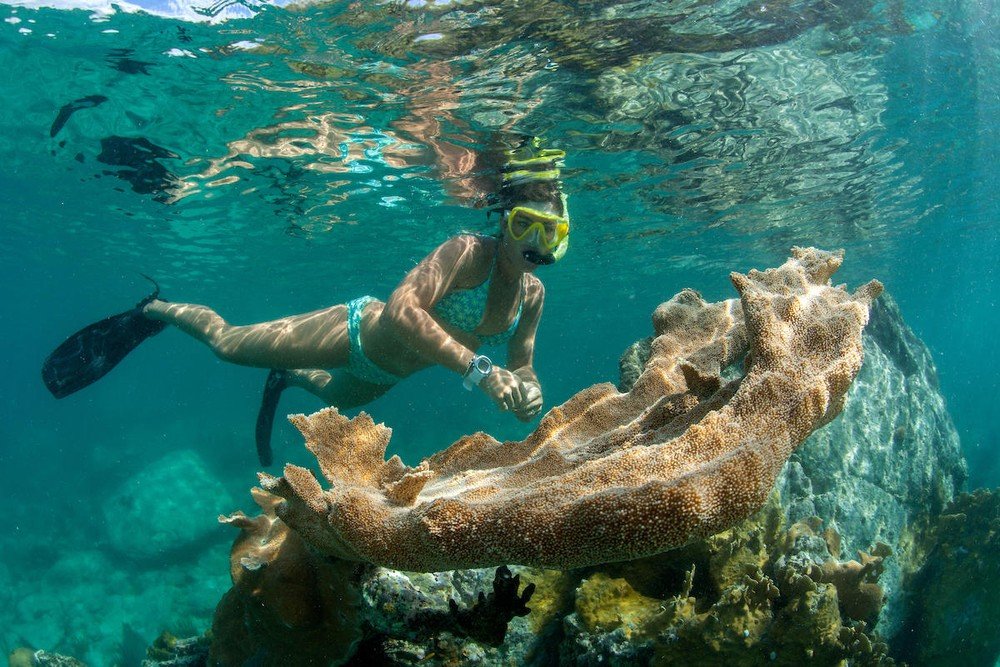 Cruz Bay Watersports - Snorkel 3